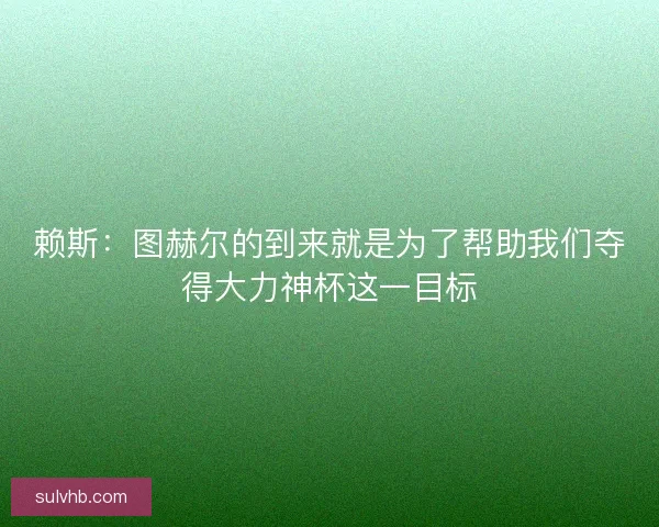 赖斯：图赫尔的到来就是为了帮助我们夺得大力神杯这一目标